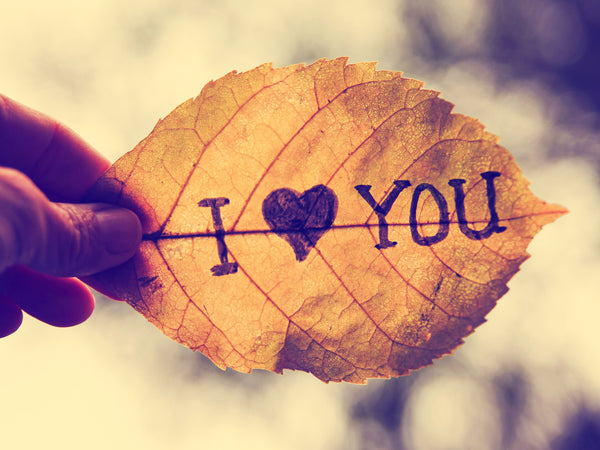 Ways to Say, “I Love You.”